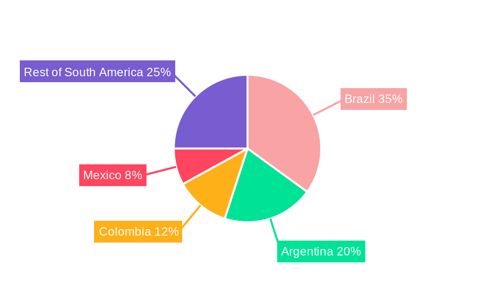 South America Automotive Lubricant Market Regional Share