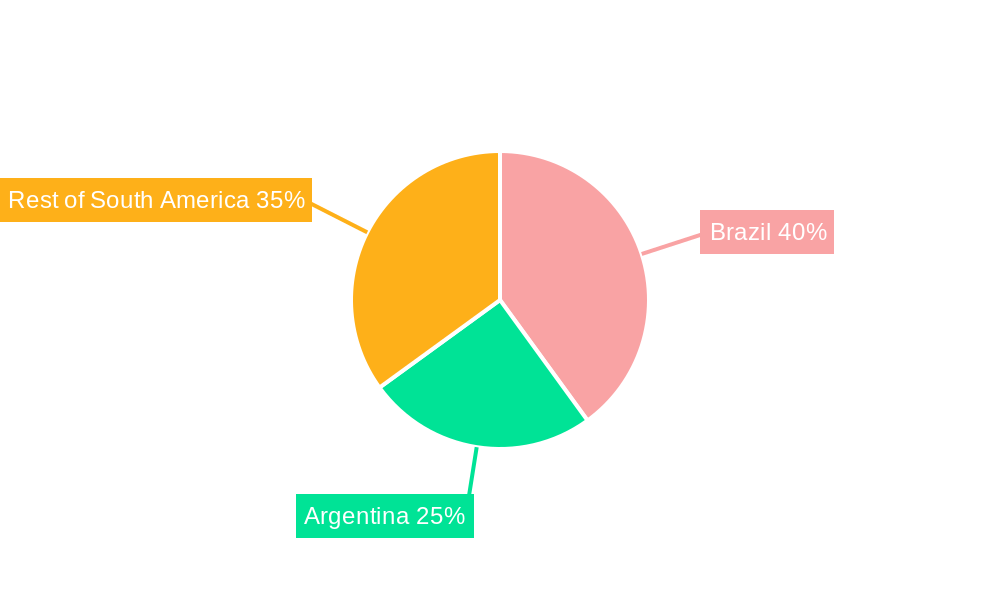 South America Dairy Alternatives Industry Regional Share