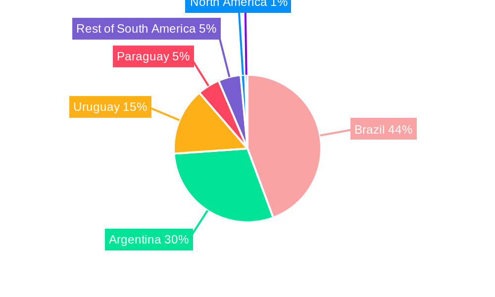 South America Mate Industry Regional Share