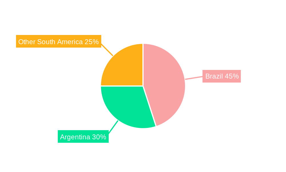 South America Outdoor LED Lighting Market Regional Share