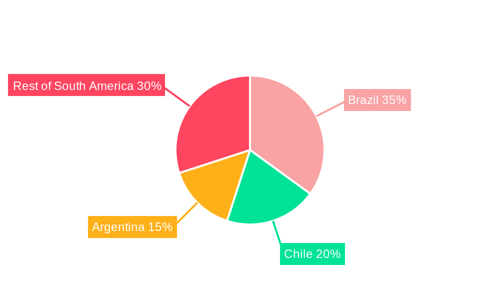 South and Central America High-Voltage Direct Current (HVDC) Transmission Systems Market Regional Share