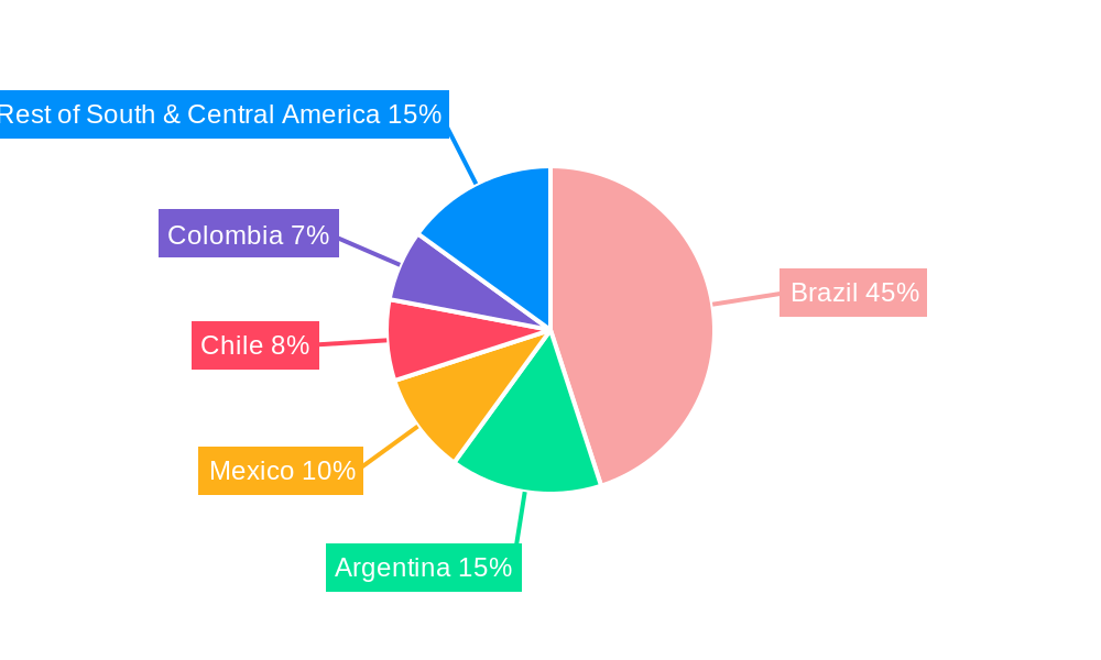 South and Central America Motive Lead-Acid Battery Market Regional Share