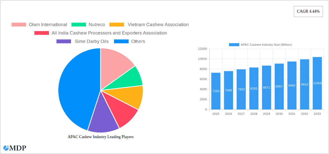 APAC Cashew Industry Research Report - Market Size, Growth & Forecast