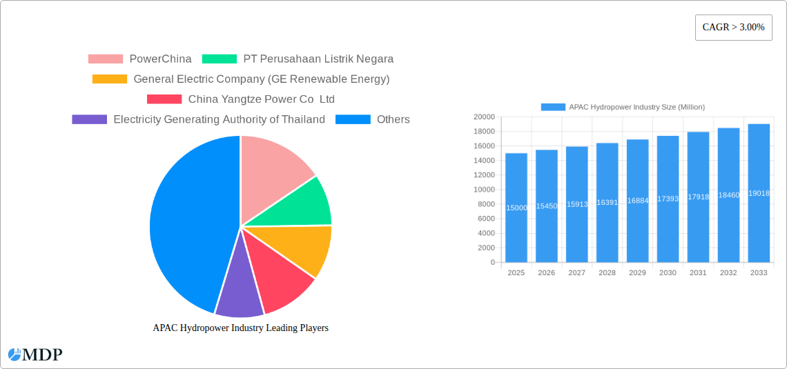 APAC Hydropower Industry Research Report - Market Size, Growth & Forecast
