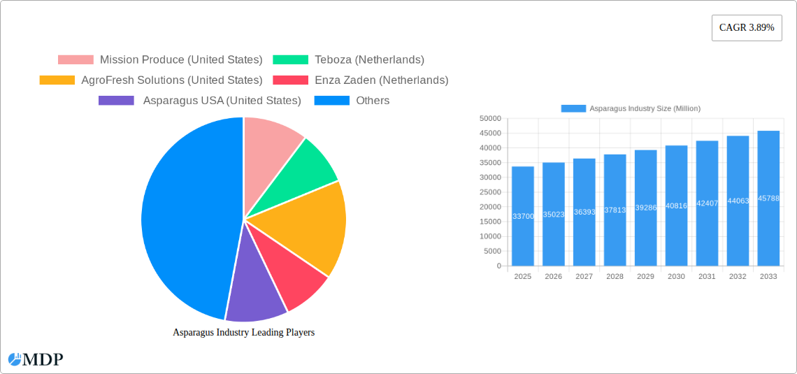 Asparagus Industry Research Report - Market Size, Growth & Forecast