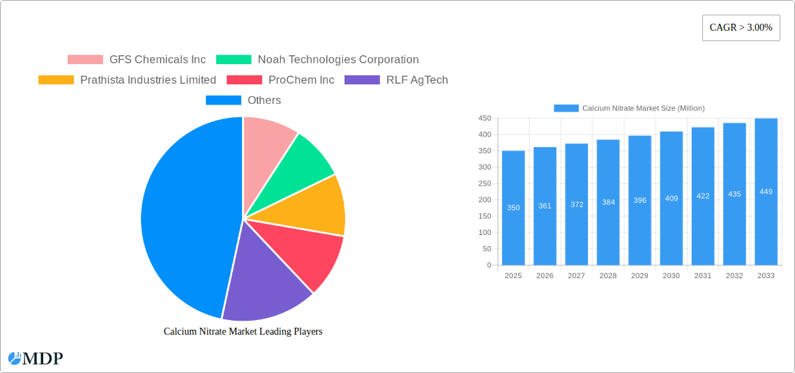 Calcium Nitrate Market Research Report - Market Size, Growth & Forecast
