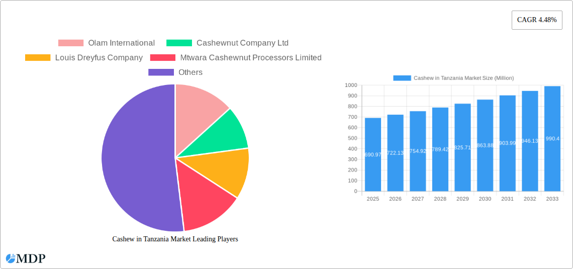 Cashew in Tanzania Market Research Report - Market Size, Growth & Forecast