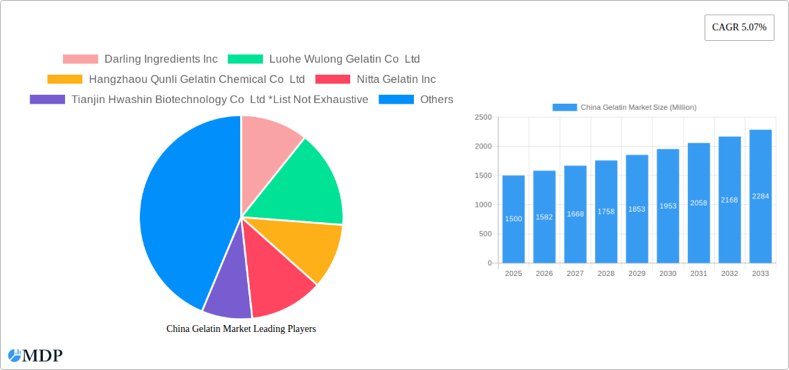China Gelatin Market Research Report - Market Size, Growth & Forecast