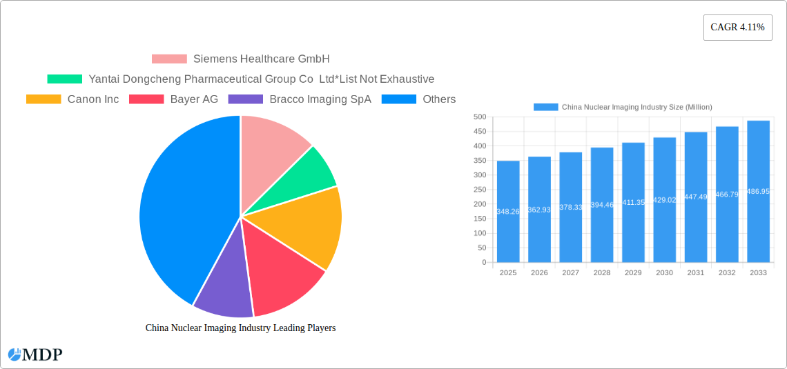 China Nuclear Imaging Industry Research Report - Market Size, Growth & Forecast
