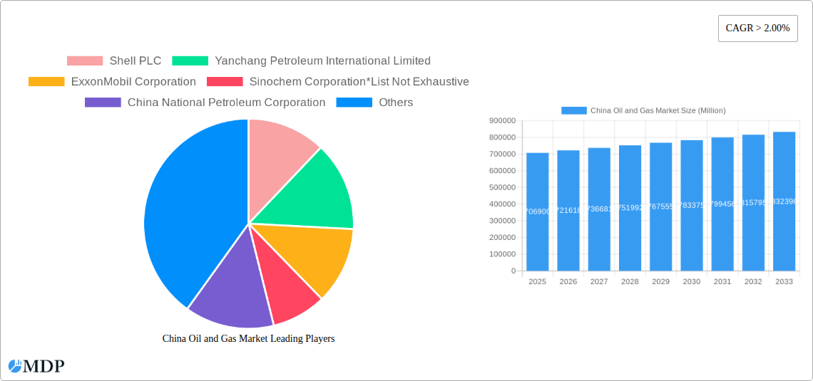 China Oil and Gas Market Research Report - Market Size, Growth & Forecast