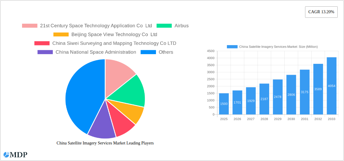 China Satellite Imagery Services Market Research Report - Market Size, Growth & Forecast