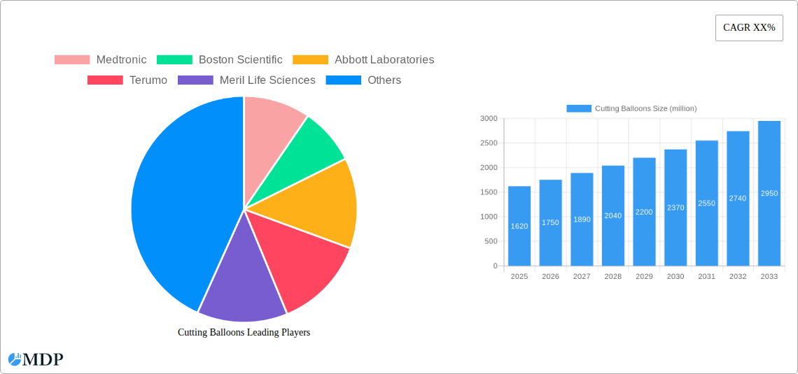 Cutting Balloons Research Report - Market Size, Growth & Forecast