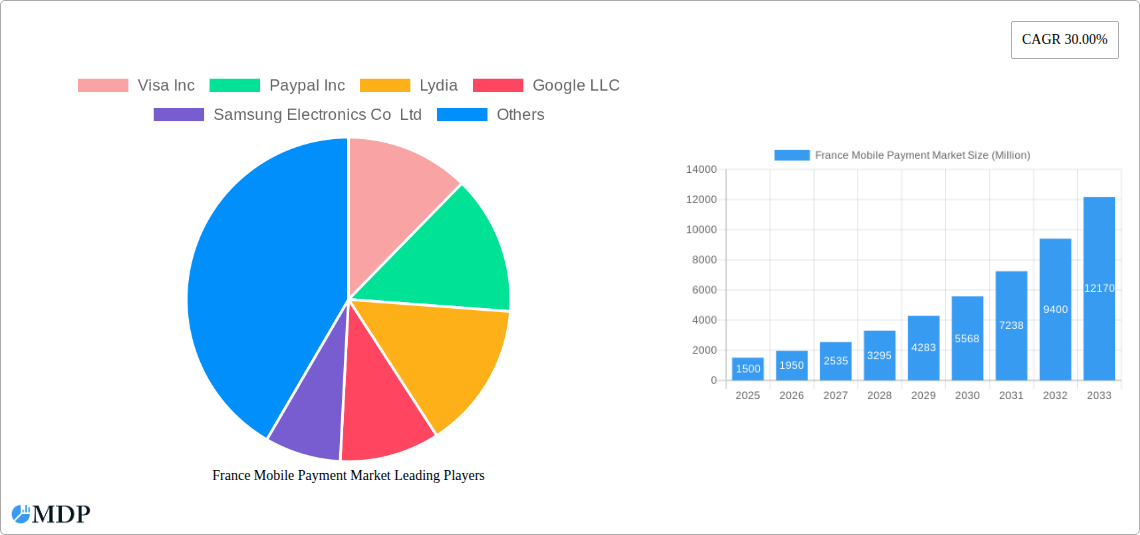 France Mobile Payment Market Research Report - Market Size, Growth & Forecast