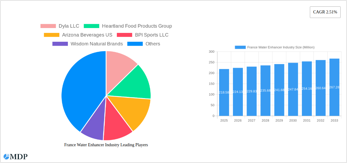 France Water Enhancer Industry Research Report - Market Size, Growth & Forecast