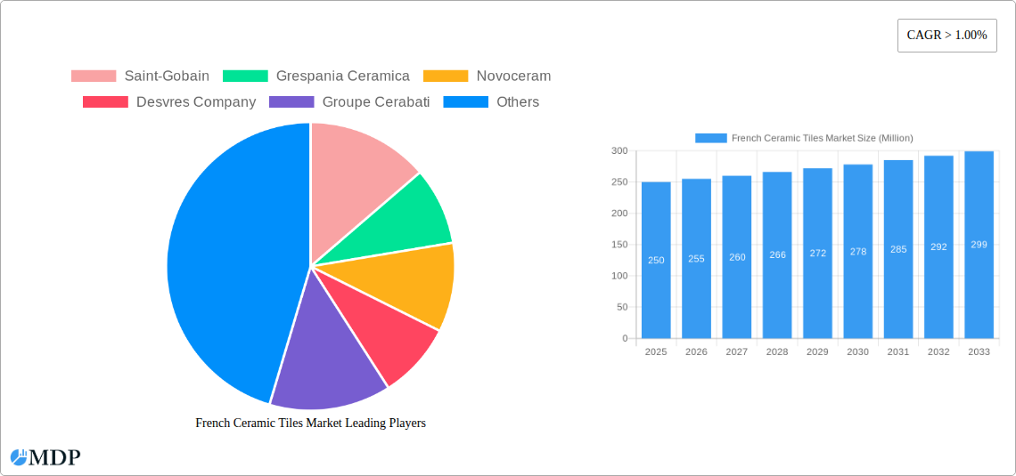 French Ceramic Tiles Market Research Report - Market Size, Growth & Forecast
