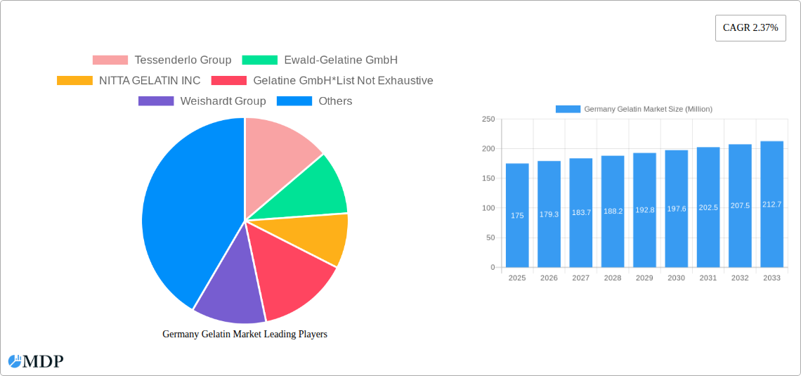 Germany Gelatin Market Research Report - Market Size, Growth & Forecast