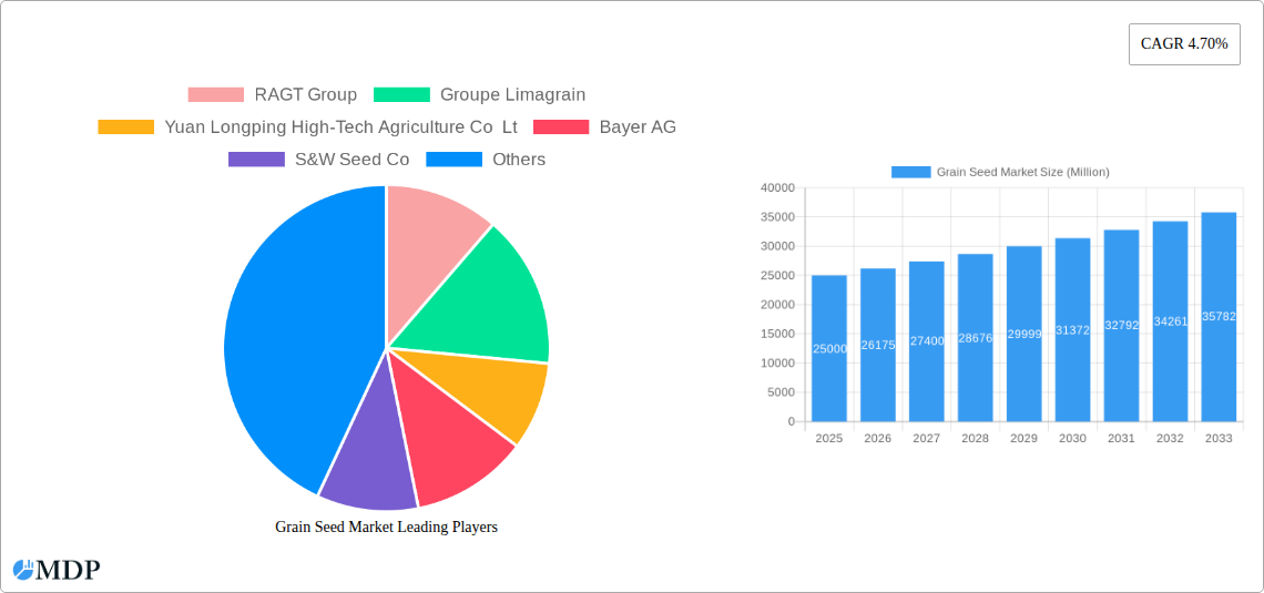 Grain Seed Market Research Report - Market Size, Growth & Forecast