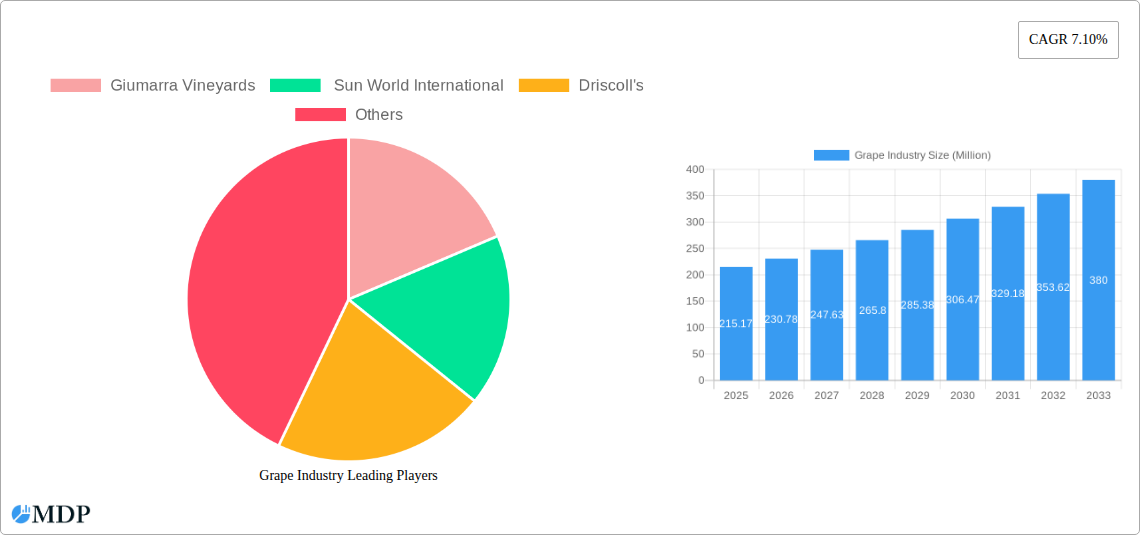 Grape Industry Research Report - Market Size, Growth & Forecast