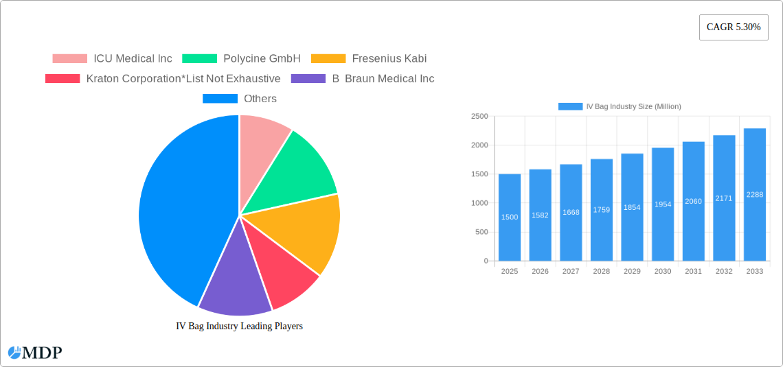 IV Bag Industry Research Report - Market Size, Growth & Forecast