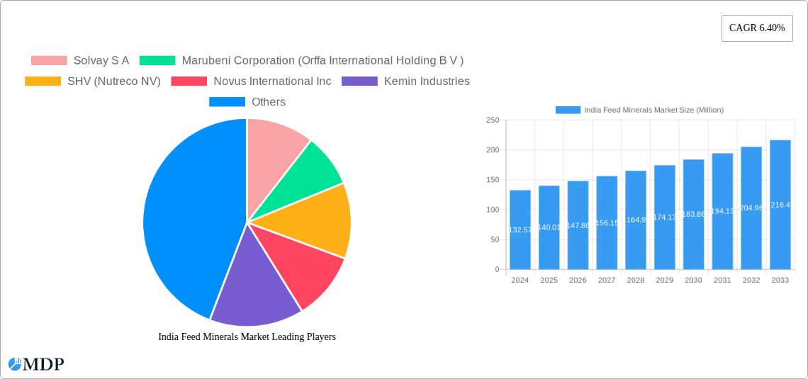 India Feed Minerals Market Research Report - Market Overview and Key Insights
