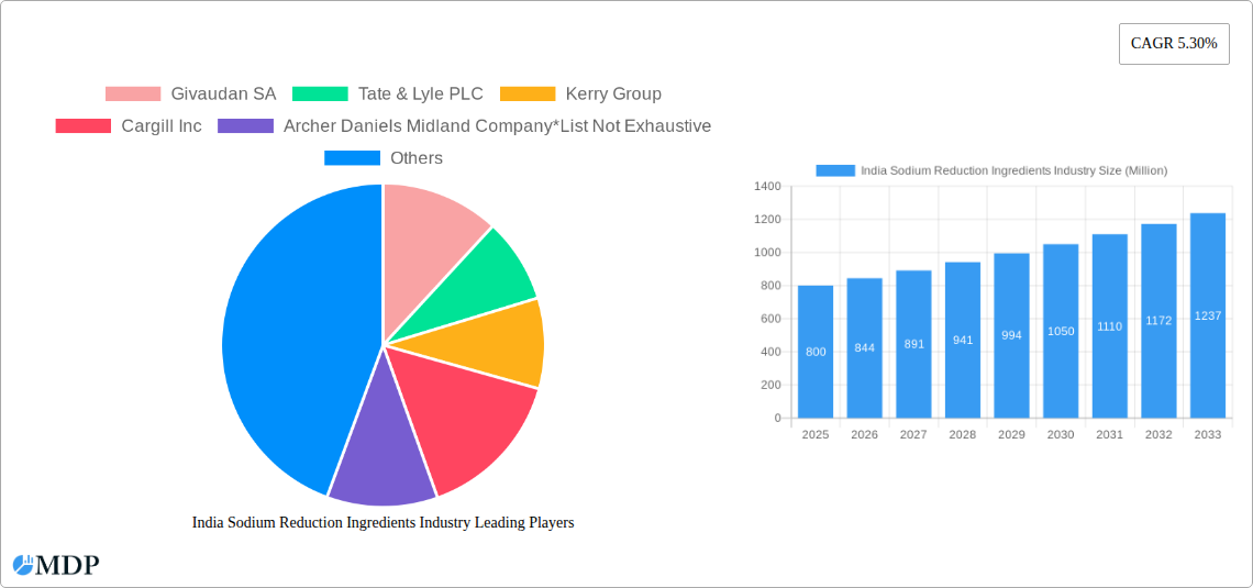 India Sodium Reduction Ingredients Industry Research Report - Market Size, Growth & Forecast