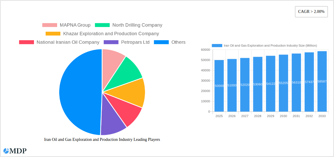 Iran Oil and Gas Exploration and Production Industry Research Report - Market Size, Growth & Forecast