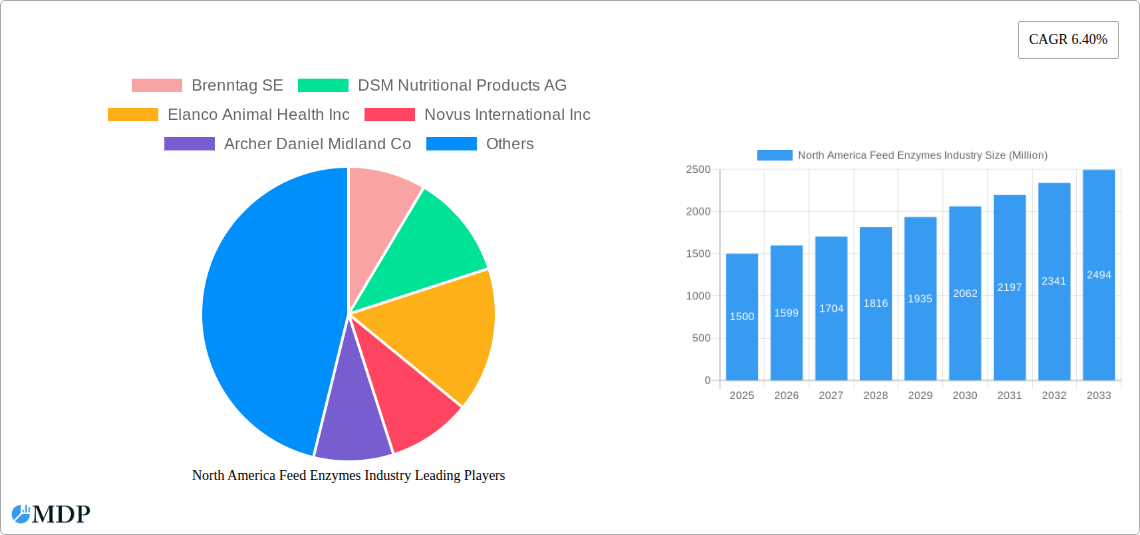 North America Feed Enzymes Industry Research Report - Market Size, Growth & Forecast