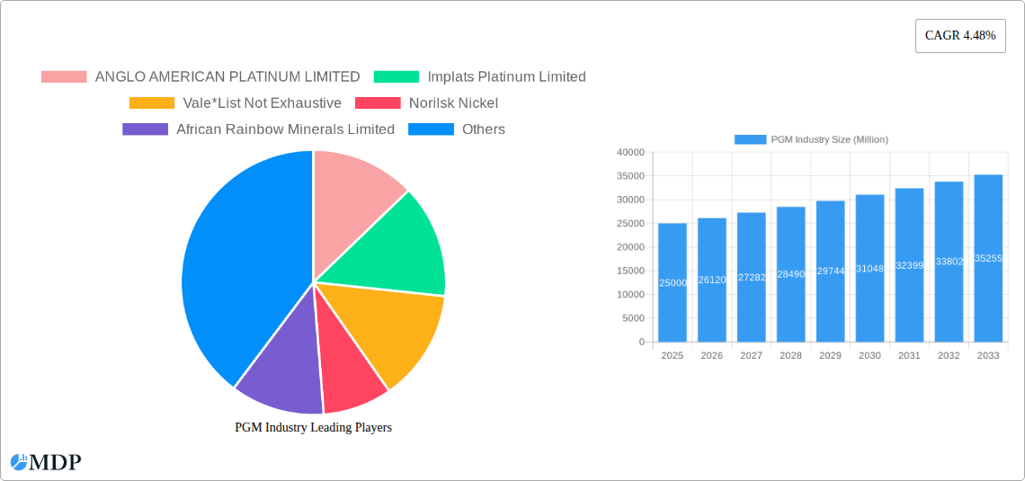 PGM Industry Research Report - Market Size, Growth & Forecast