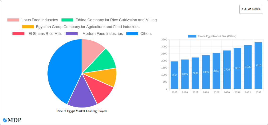 Rice in Egypt Market Research Report - Market Size, Growth & Forecast