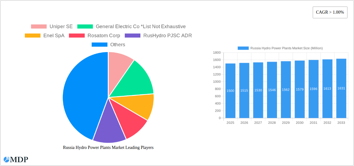 Russia Hydro Power Plants Market Research Report - Market Size, Growth & Forecast