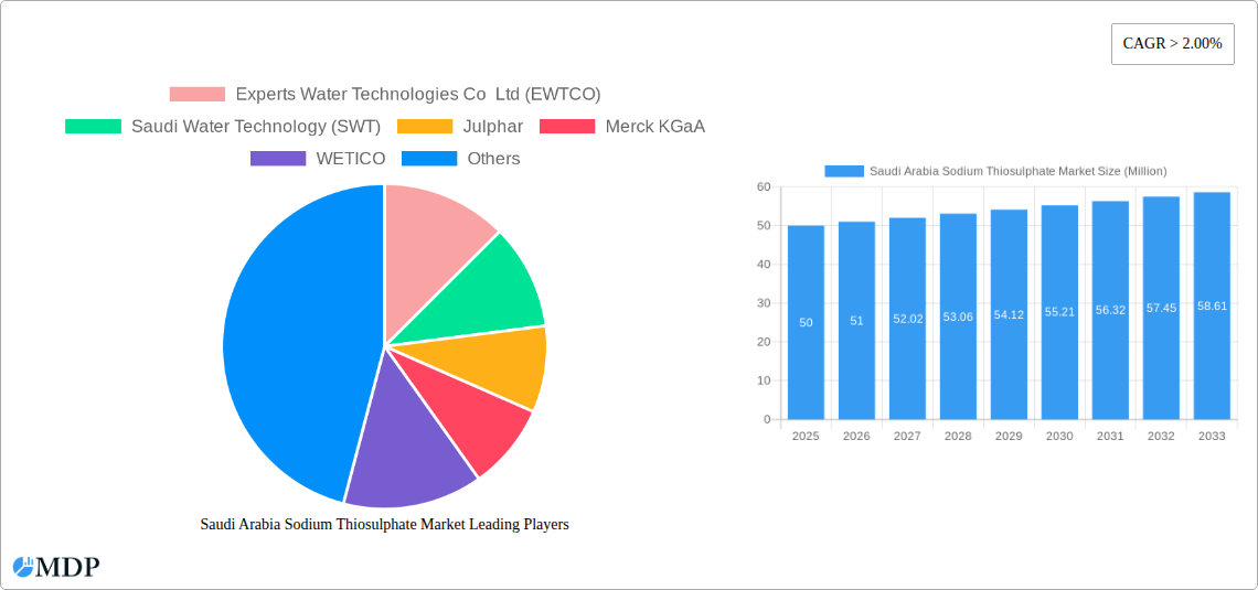 Saudi Arabia Sodium Thiosulphate Market Research Report - Market Size, Growth & Forecast