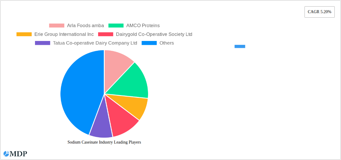 Sodium Caseinate Industry Research Report - Market Overview and Key Insights