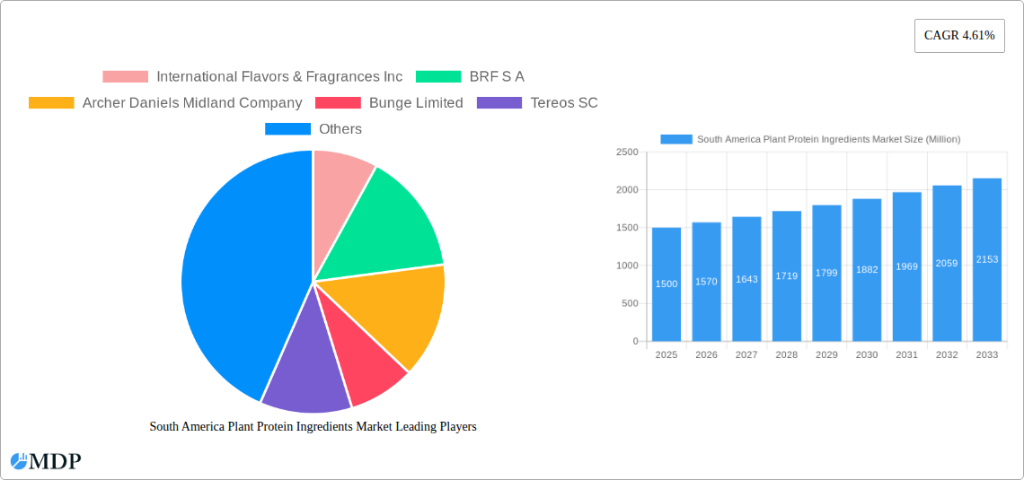 South America Plant Protein Ingredients Market Research Report - Market Size, Growth & Forecast