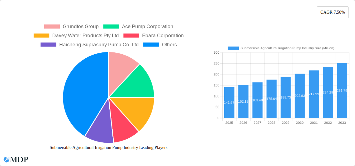 Submersible Agricultural Irrigation Pump Industry Research Report - Market Size, Growth & Forecast