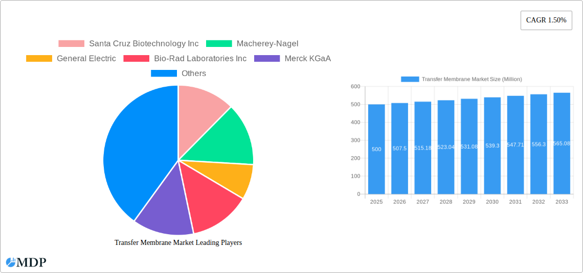 Transfer Membrane Market Research Report - Market Size, Growth & Forecast