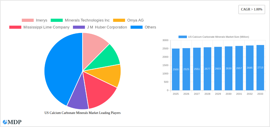 US Calcium Carbonate Minerals Market Research Report - Market Size, Growth & Forecast