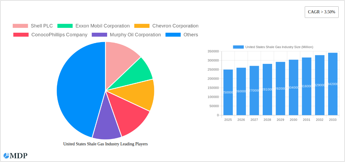 United States Shale Gas Industry Research Report - Market Size, Growth & Forecast