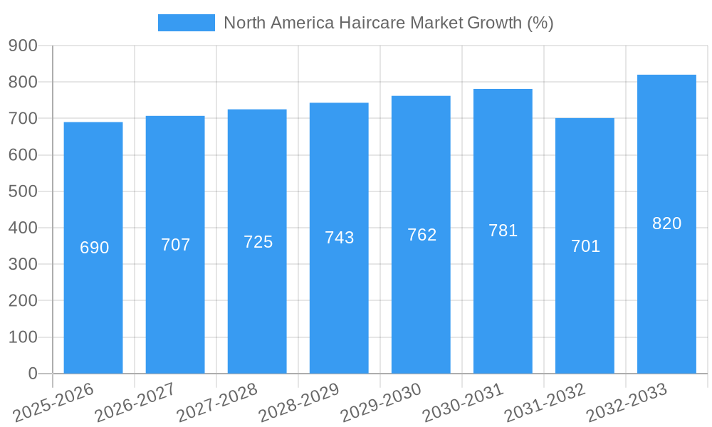 North America Haircare Market Growth