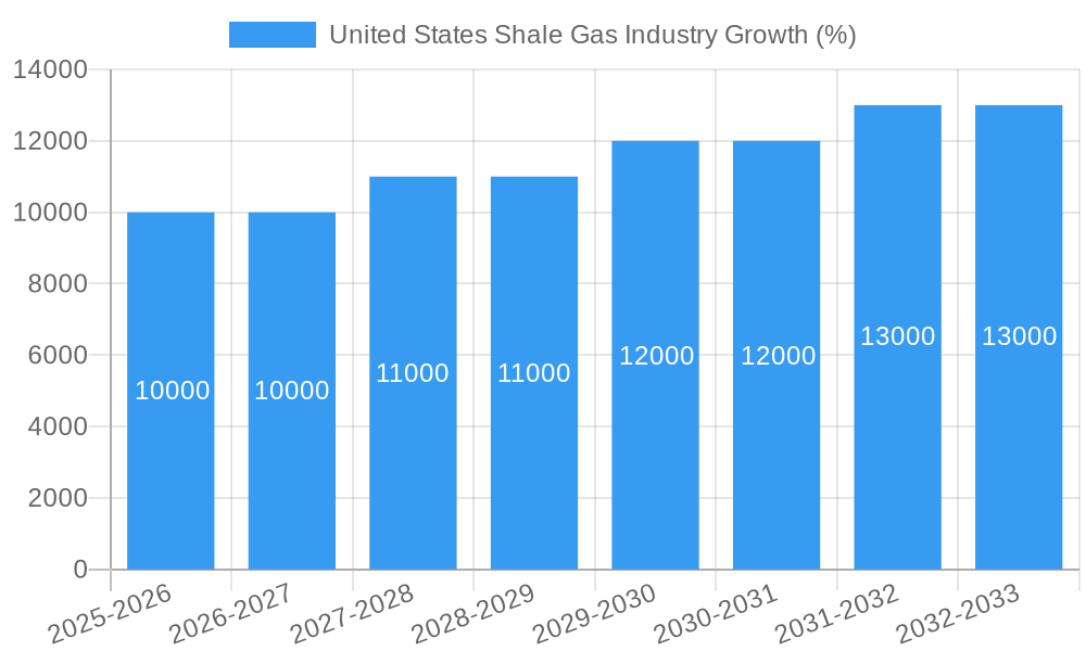 United States Shale Gas Industry Growth
