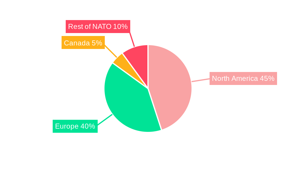 Ammunition Market in NATO Regional Share