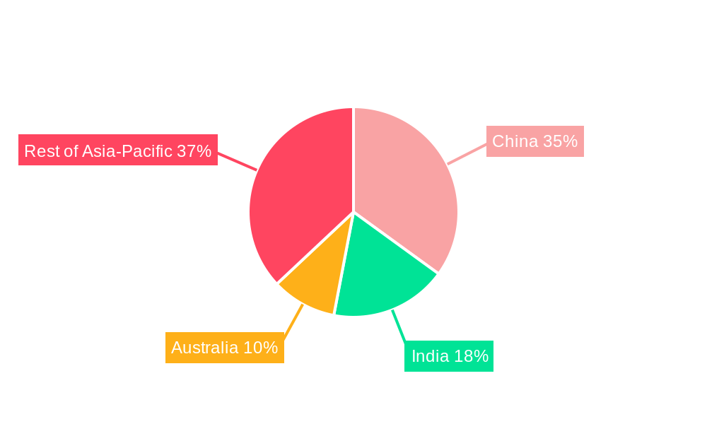 Asia-Pacific Completion Equipment Market Regional Share