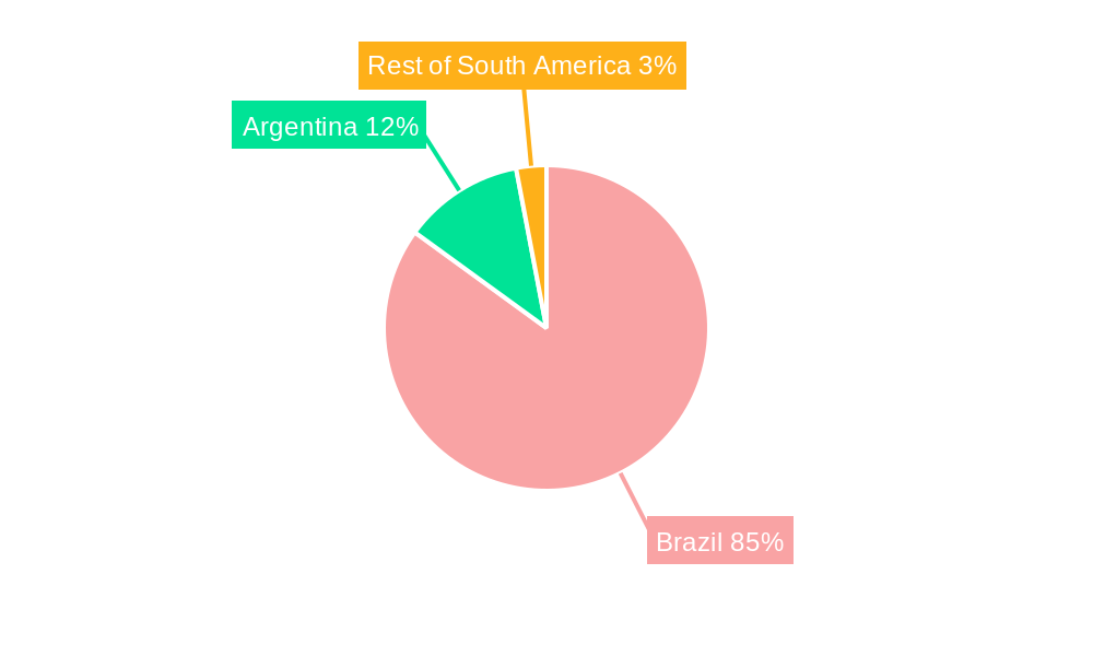 Brazil Maize Market Regional Share