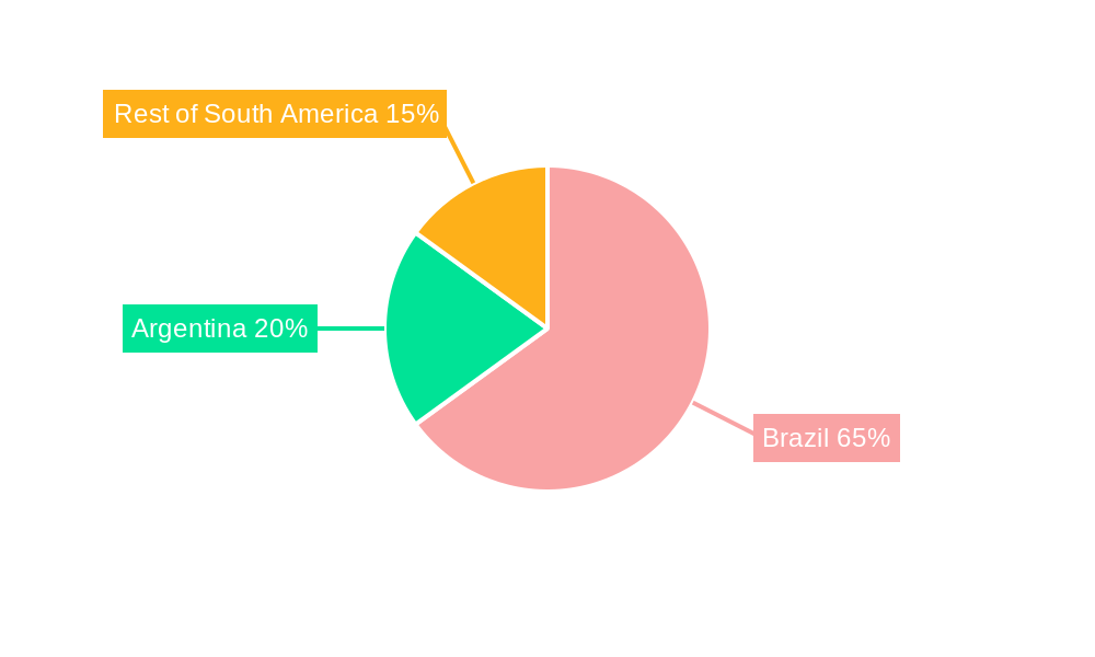 Cashews Market in South America Regional Share