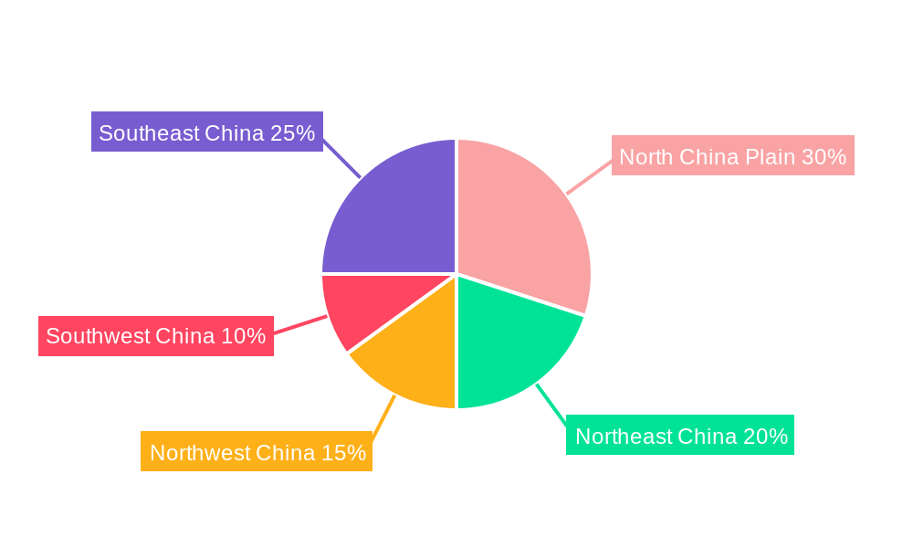 China Oil and Gas Market Regional Share
