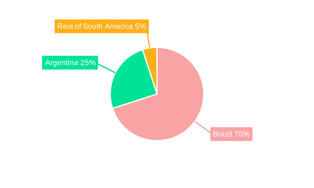 Cotton Market in South America Regional Share