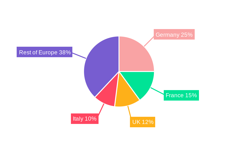 Europe Automotive Diagnostic Software Industry Regional Share