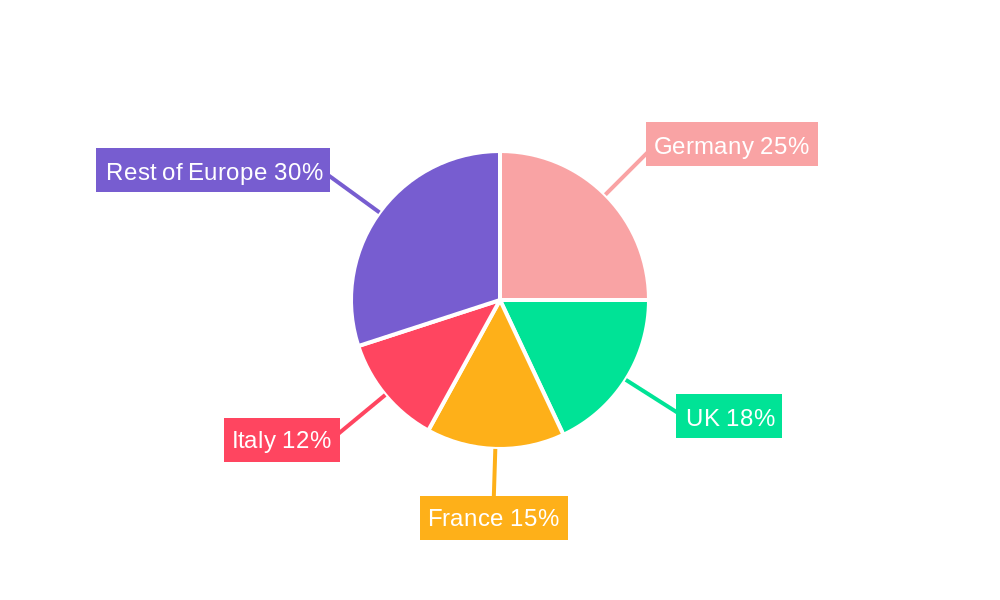 Europe Automotive Display Industry Regional Share