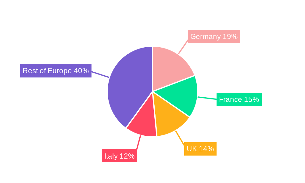 Europe Biguanide Market Regional Share