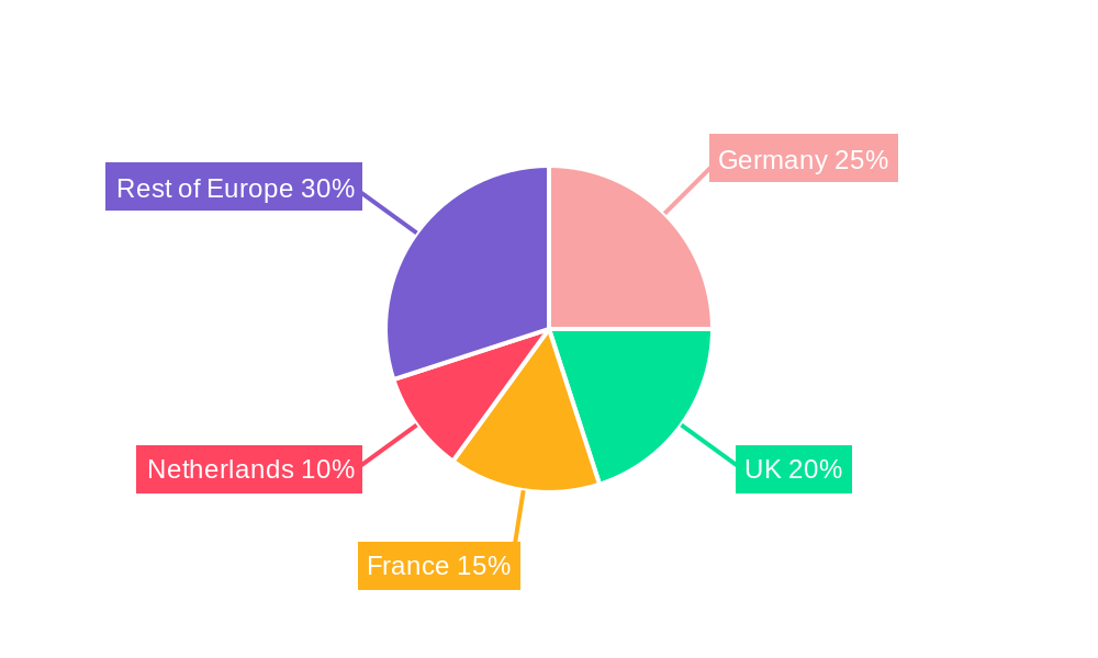 Europe Coil Tubing Industry Regional Share