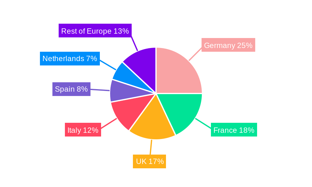 Europe Conveyors Industry Regional Share